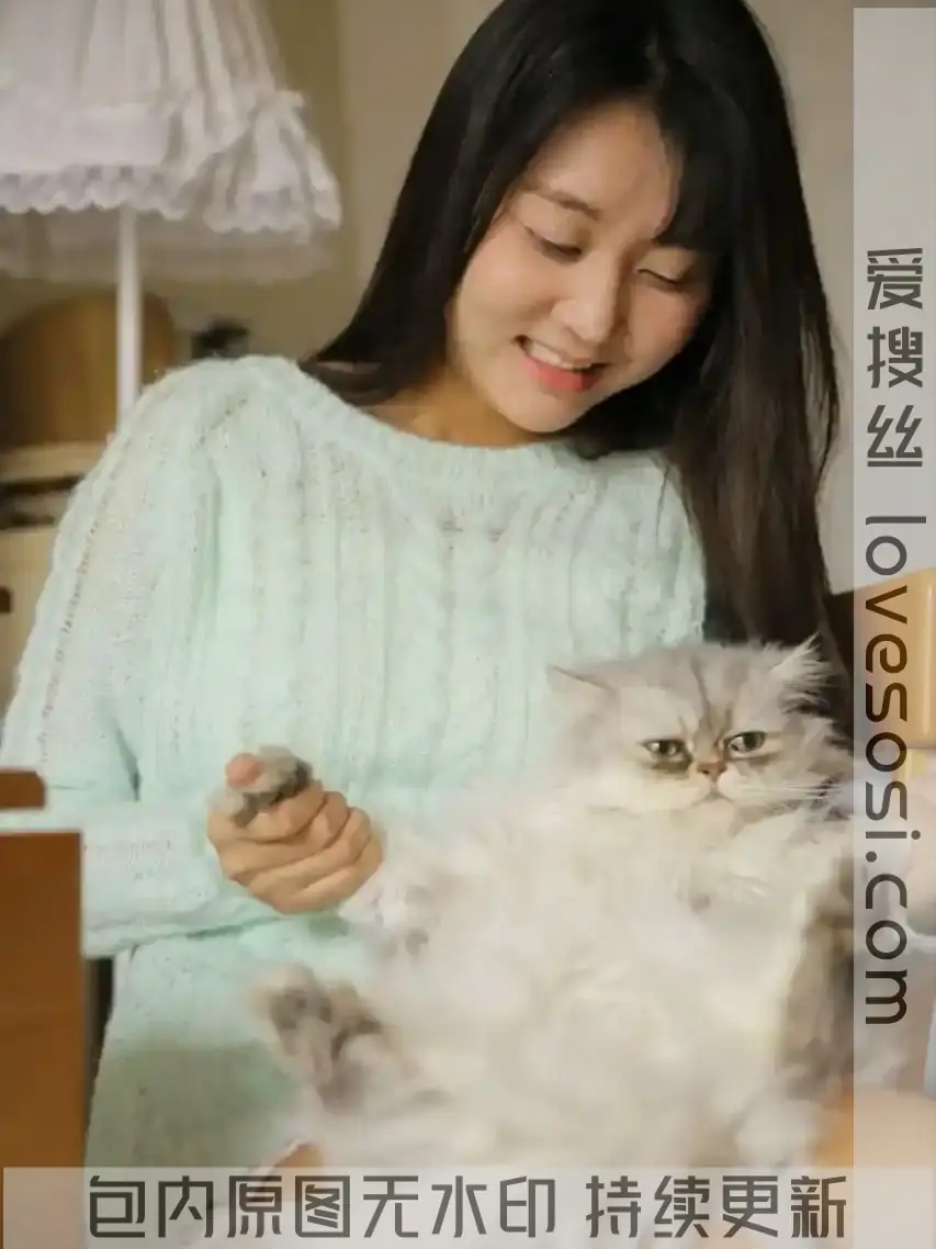 S5313 360P